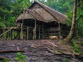 Siberut, Indon&eacute;sie