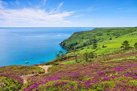 Cap de la Ch&egrave;vre, Crozon, Finist&egrave;re, France