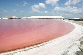 Salins d'Aigues-Mortes, Aigues-Mortes, Gard, France