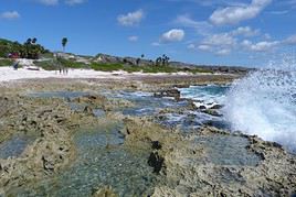 Parc national de Guanahacabibes, Cuba