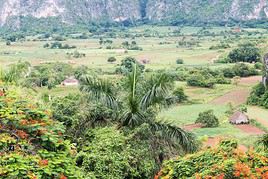 Sierra del Rosario, Cuba