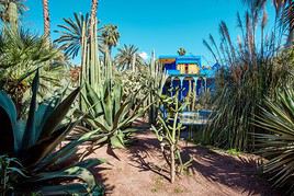 Jardin Majorelle, Marrakech, Maroc