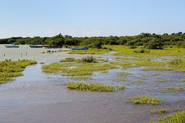 Parc national Jaragua, R&eacute;publique Dominicaine