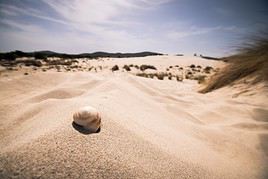 Porto Pino, Italie