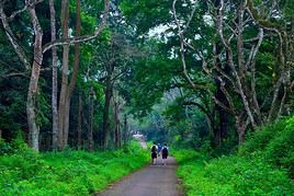 Parc national de Cuc Phuong, Vietnam