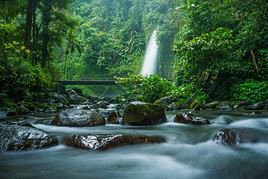 Parc national de Gunung Gede Pangrango, Indonésie