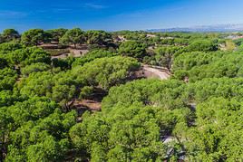 Casa de Campo, Madrid, Espagne