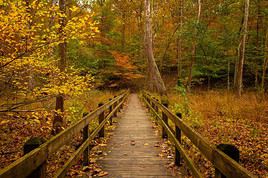 Parc d'état du Brown County, Indiana, États-Unis