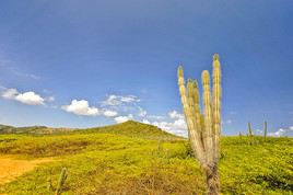 Parc national Washington Slagbaai, Bonaire, Pays-Bas Carib&eacute;ens