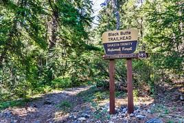 Forêt nationale de Shasta-Trinity, Californie, États-Unis