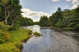 Parc national Kejimkujik, Nouvelle-&Eacute;cosse, Canada