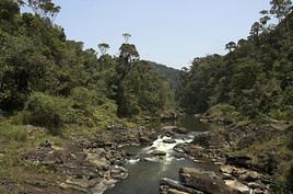 Parc national de Ranomafana, Madagascar