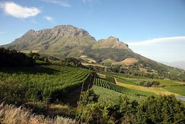 Cape Winelands, Afrique du Sud
