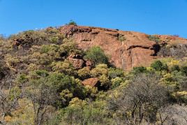Parc national Pilanesberg, Afrique du Sud