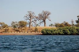 Fleuve Sénégal, Sénégal