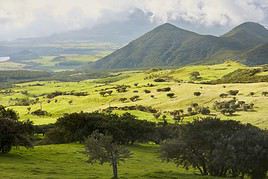 Plaine des Cafres, R&eacute;union