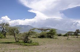 Parc national d'Arusha, Tanzanie
