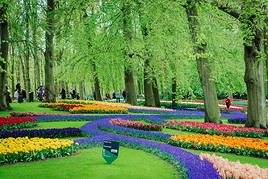 Keukenhof, Pays-Bas