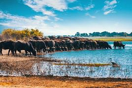 Chobe River, Botswana