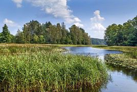 Parc National d'Aukstaitija, Lituanie