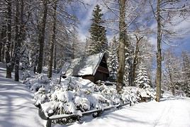Mont Jahorina, Bosnie-Herz&eacute;govine