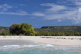 &Icirc;le de la Tortue, Ha&iuml;ti