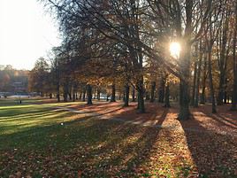 Bois de la Cambre, Bruxelles, Belgique