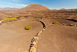 Vall&eacute;e de La Geria, Canaries