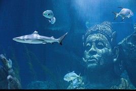 Sea Life Bangkok Ocean World, Bangkok, Tha&iuml;lande