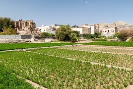Ibra, Oman
