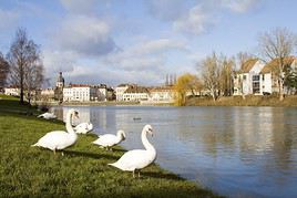 Chalon-sur-Sa&ocirc;ne, Sa&ocirc;ne et Loire, France