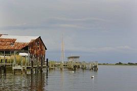 For&ecirc;t nationale d'Apalachicola, Floride, &Eacute;tats-Unis