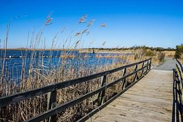 R&eacute;serve faunique de Back Bay, Virginie, &Eacute;tats-Unis