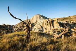 Parc d'état de Makoshika, Montana, États-Unis