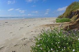Montalivet, Gironde, France