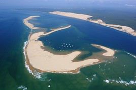 Banc d'Arguin, Gironde, France