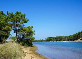 Soustons, Landes, France
