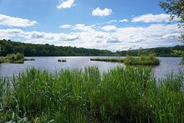 Lac de Malsaucy, Territoire de Belfort, France