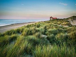 Dunes de Flandres, Nord, France