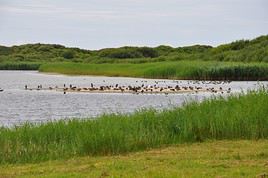 Parc naturel régional des Caps et Marais d'Opale, Pas-de-Calais, France