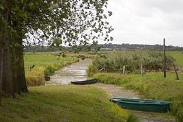 Parc naturel des marais du Cotentin, Manche, France