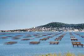 &Eacute;tang de Thau, H&eacute;rault, France
