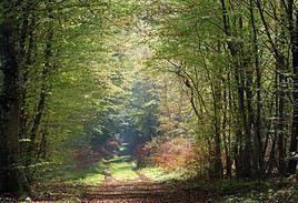 Parc naturel du G&acirc;tinais fran&ccedil;ais, Seine-et-Marne, France
