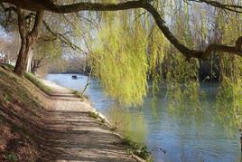 Marne, Val-de-Marne, France