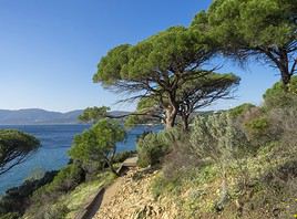 La Croix Valmer, Var, France