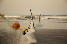 C&ocirc;te de Konkan, Inde
