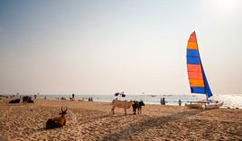 Calangute, Inde