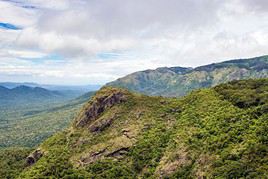 Parc national de Bandipur, Inde