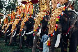 Thrissur, Inde