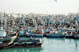 Port de p&ecirc;che d'Agadir, Maroc